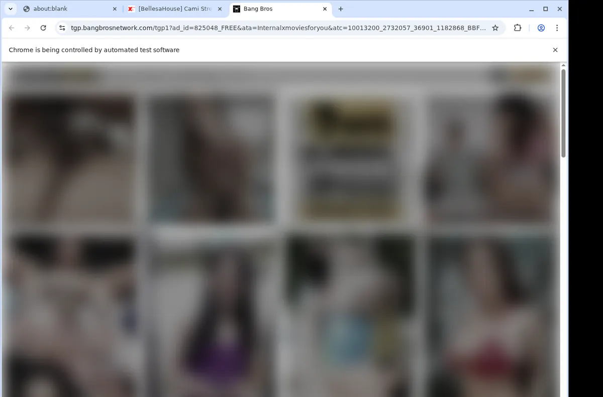 Xmoviesforyou Video Downloader browser extension screenshot 4